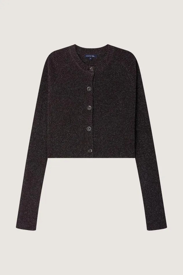 Jumpers and Cardigans Women Soeur WALDEN CARDIGAN Brownsilver