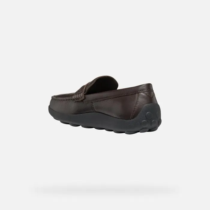 Man Geox Loafers SPHERICA EC14 MAN Coffee Leather Loafers Coffee
