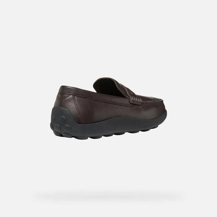 Man Geox Loafers SPHERICA EC14 MAN Coffee Leather Loafers Coffee