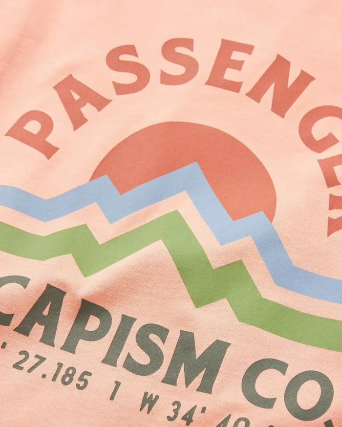 Passenger Clothing Dumont Organic Relaxed Fit TShirt Tawny Peach Men TShirts and Vests