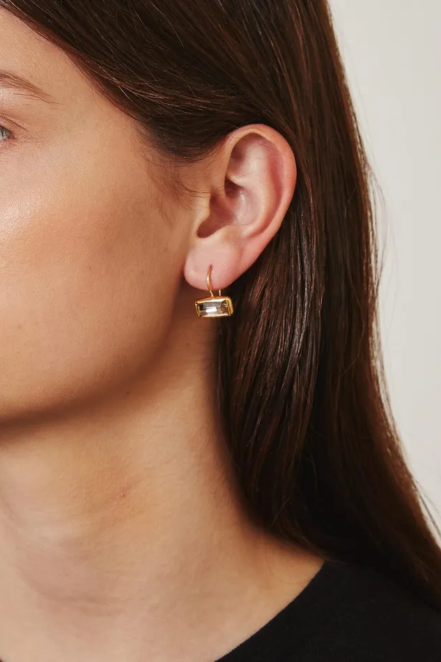 Silver Shade Crystal Tab Earrings Women Chan Luu Earrings