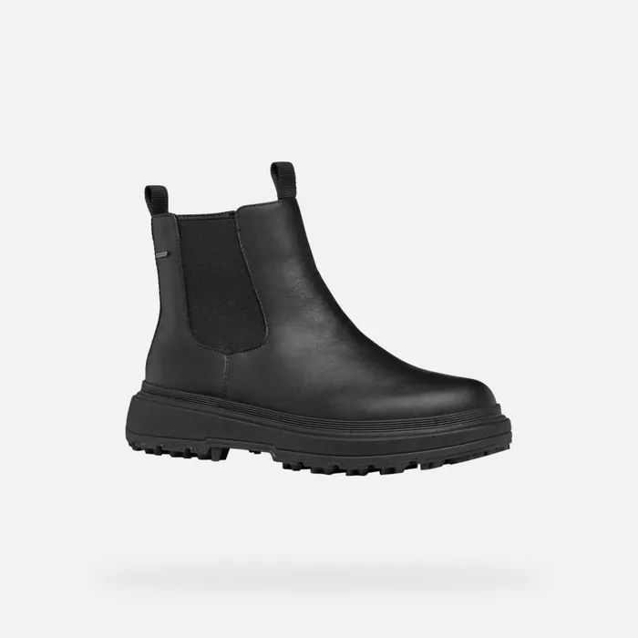 Woman Geox Ankle Boots LAMIDIE GRIP ABX WOMAN Black Waterproof Ankle Boots Black