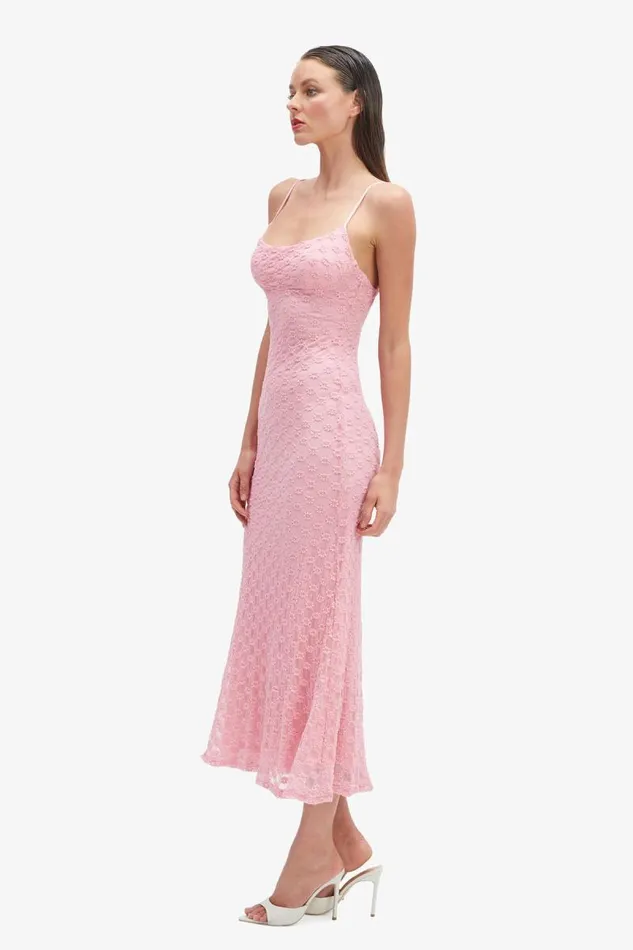 Women Day To Night Dresses Bardot Adoni Mesh Midi Dress In Lili Pink Lili Pink Women Day To Night Dresses Bardot Adoni Mesh Midi Dress In Lili Pink Lili Pink