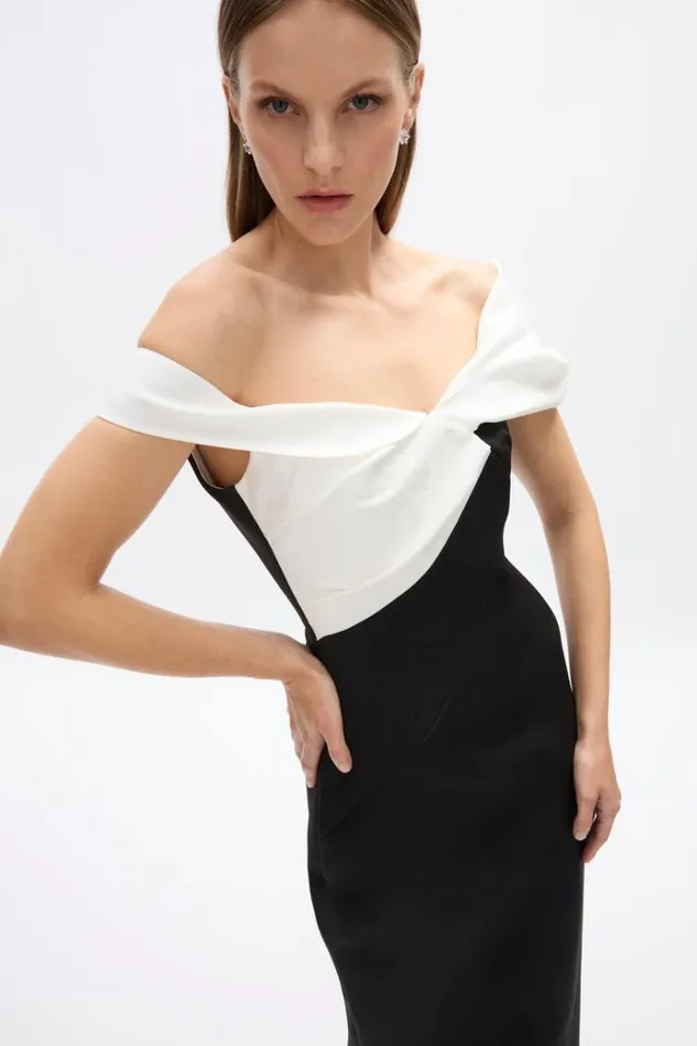 Women Maxi Dresses Rachel Gilbert Delila Gown BlackWhite